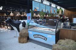 17-06-01_Skan_0716-GAB_1994